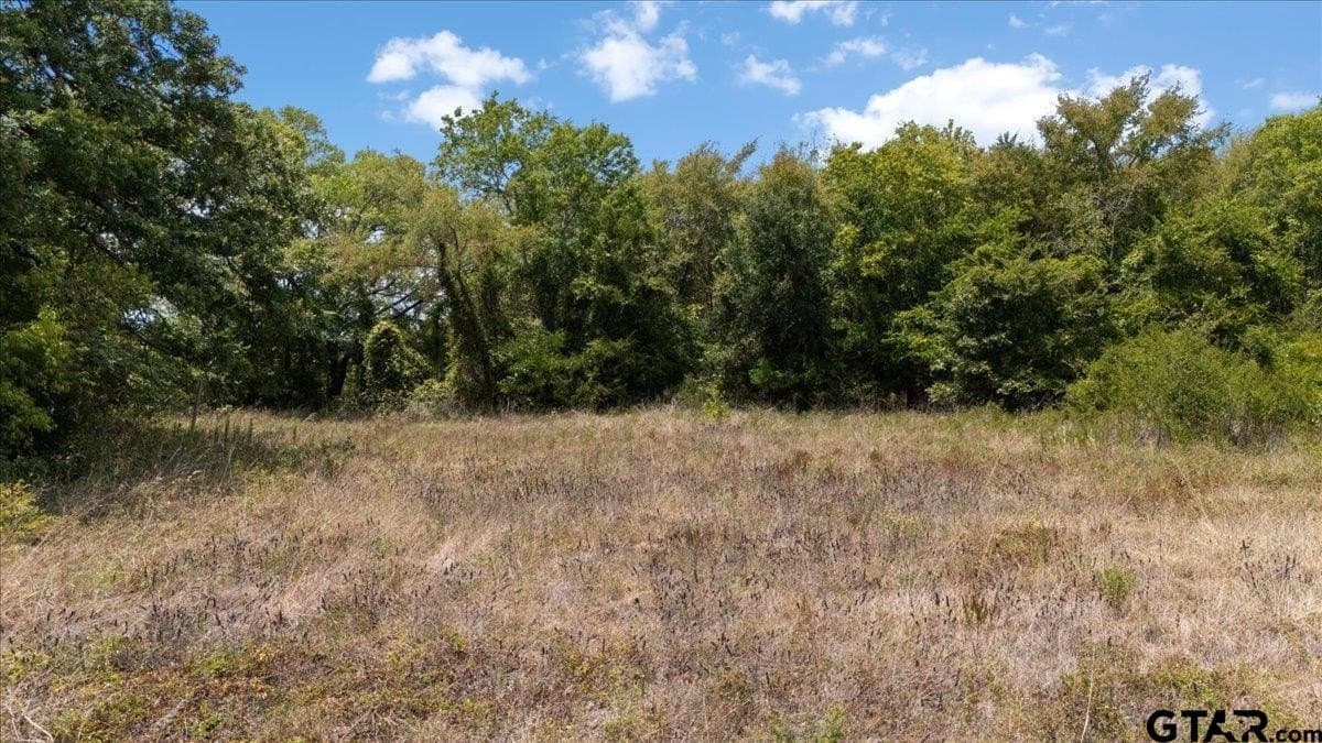 19.92 acres in Van Zandt County - photo 12