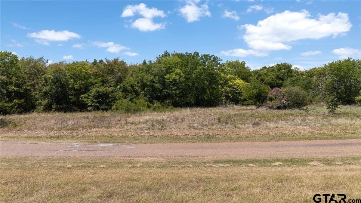 19.92 acres in Van Zandt County - photo 11