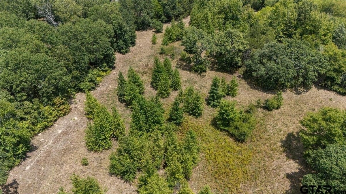 19.92 acres in Van Zandt County - photo 10