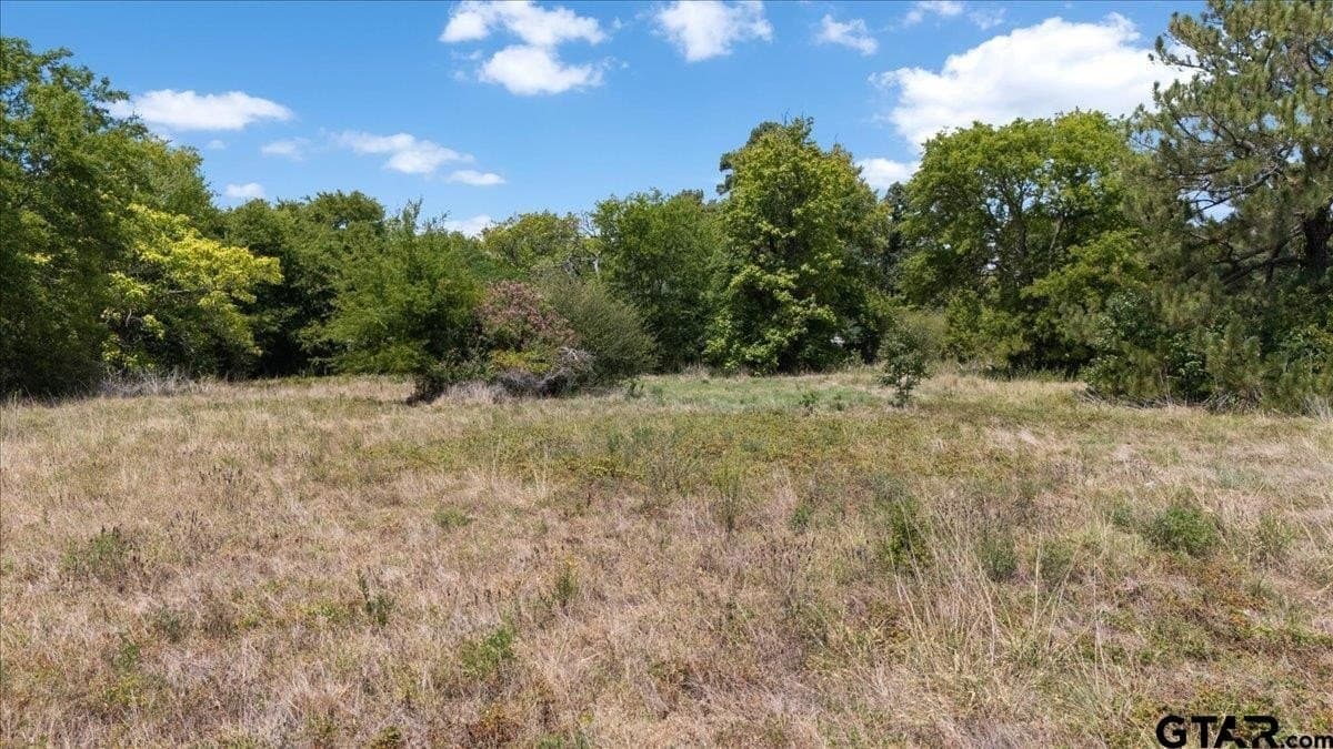 19.92 acres in Van Zandt County - photo 13