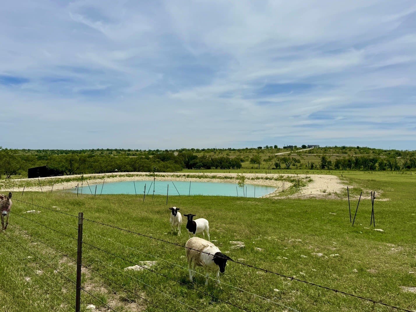 10.01 acres in Comanche County gallery image 2