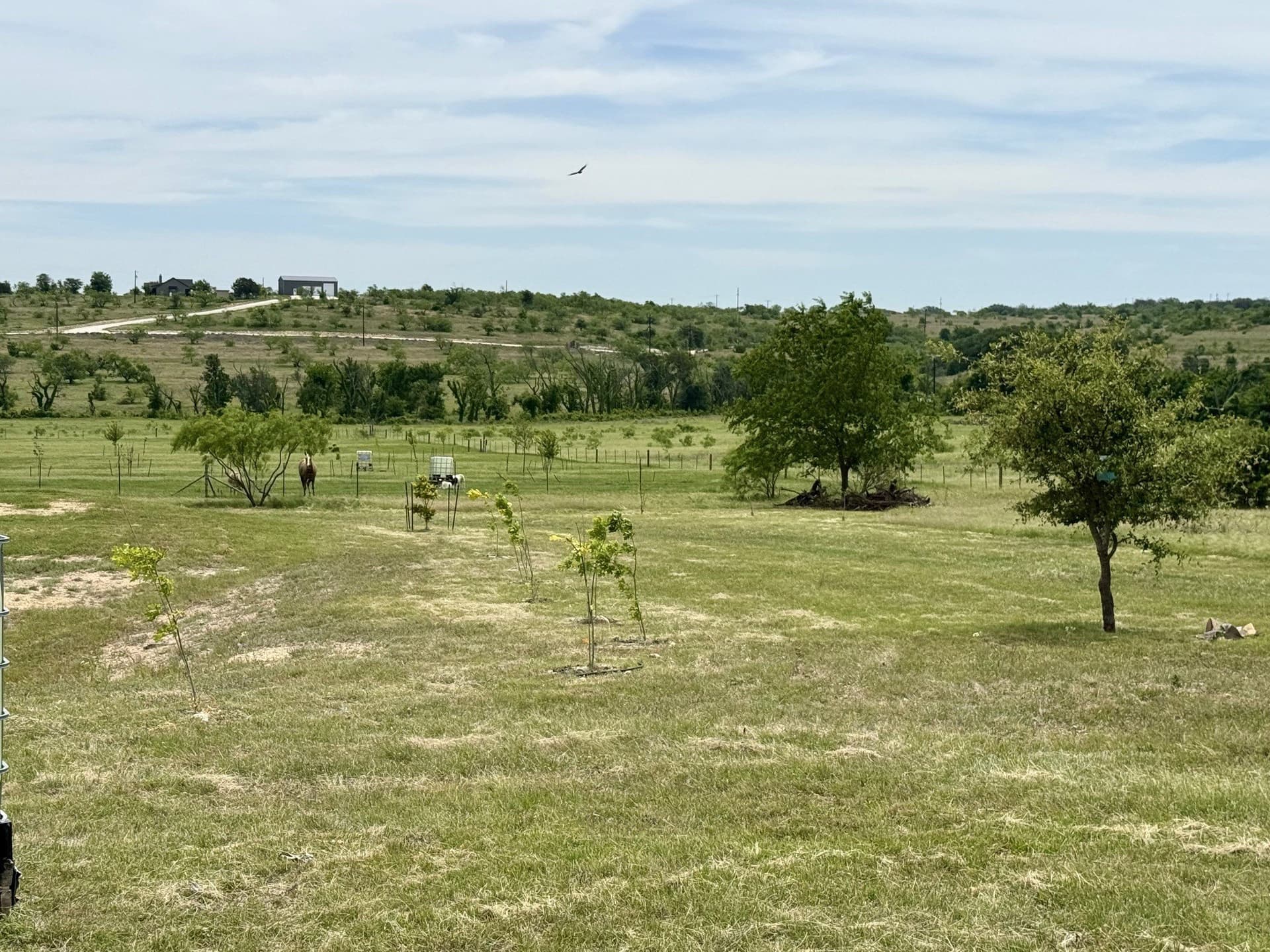 10.01 acres in Comanche County - photo 18