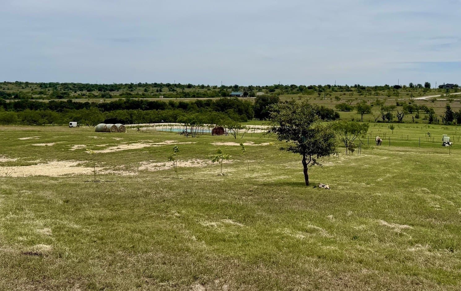 10.01 acres in Comanche County - photo 23