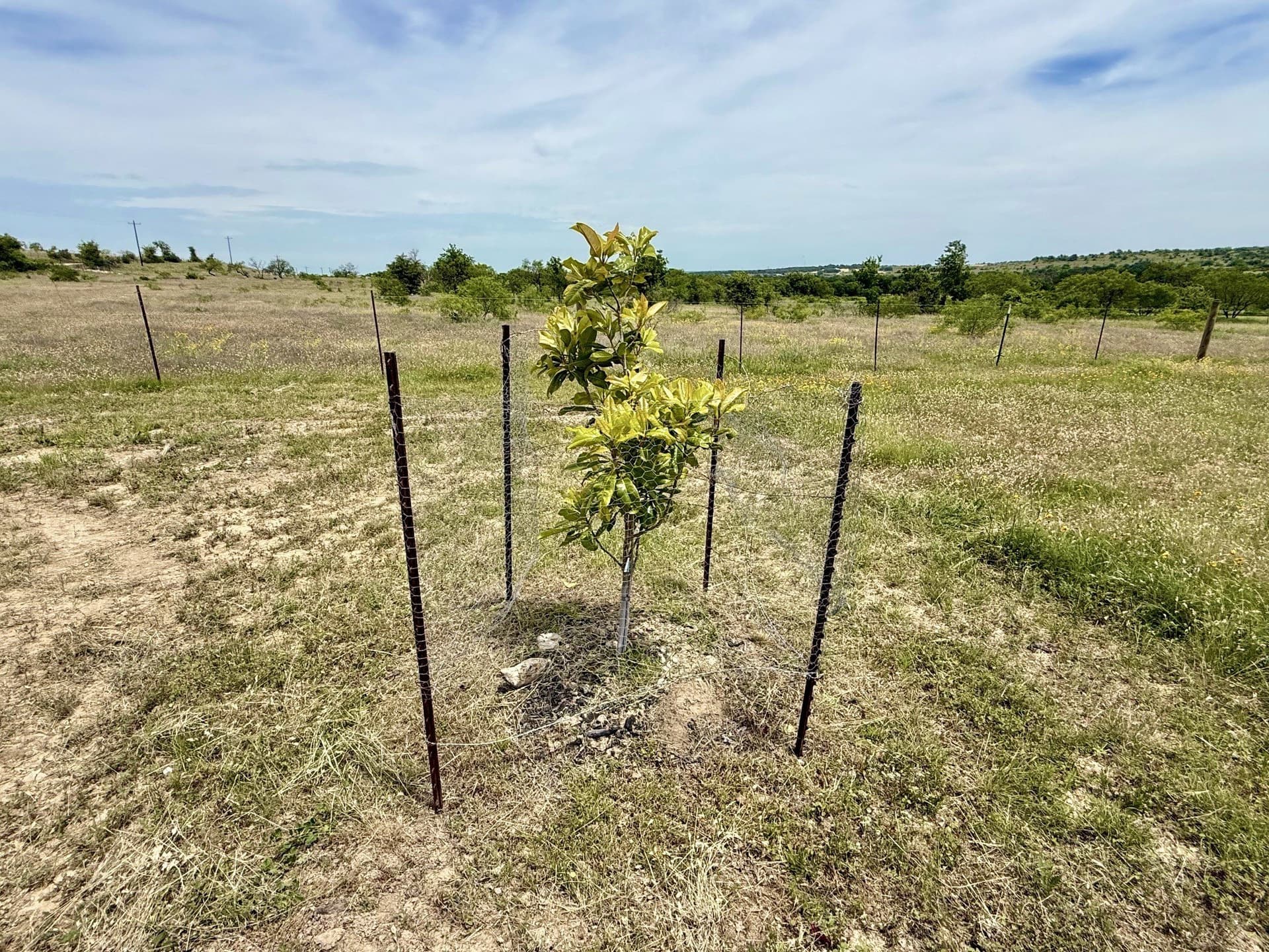 10.01 acres in Comanche County - photo 19
