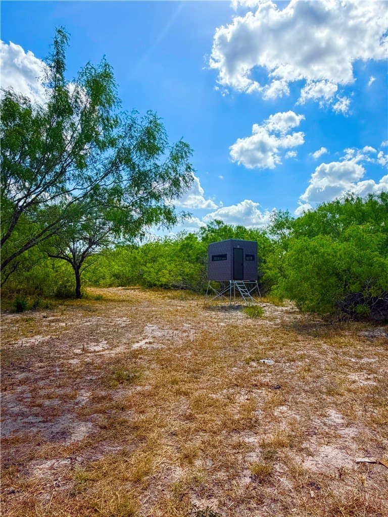 10.8 acres in Duval County - photo 33