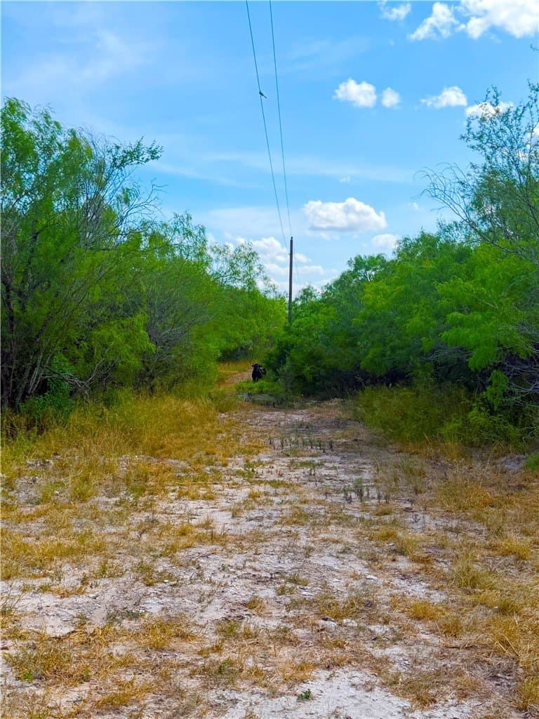 10.8 acres in Duval County - photo 34
