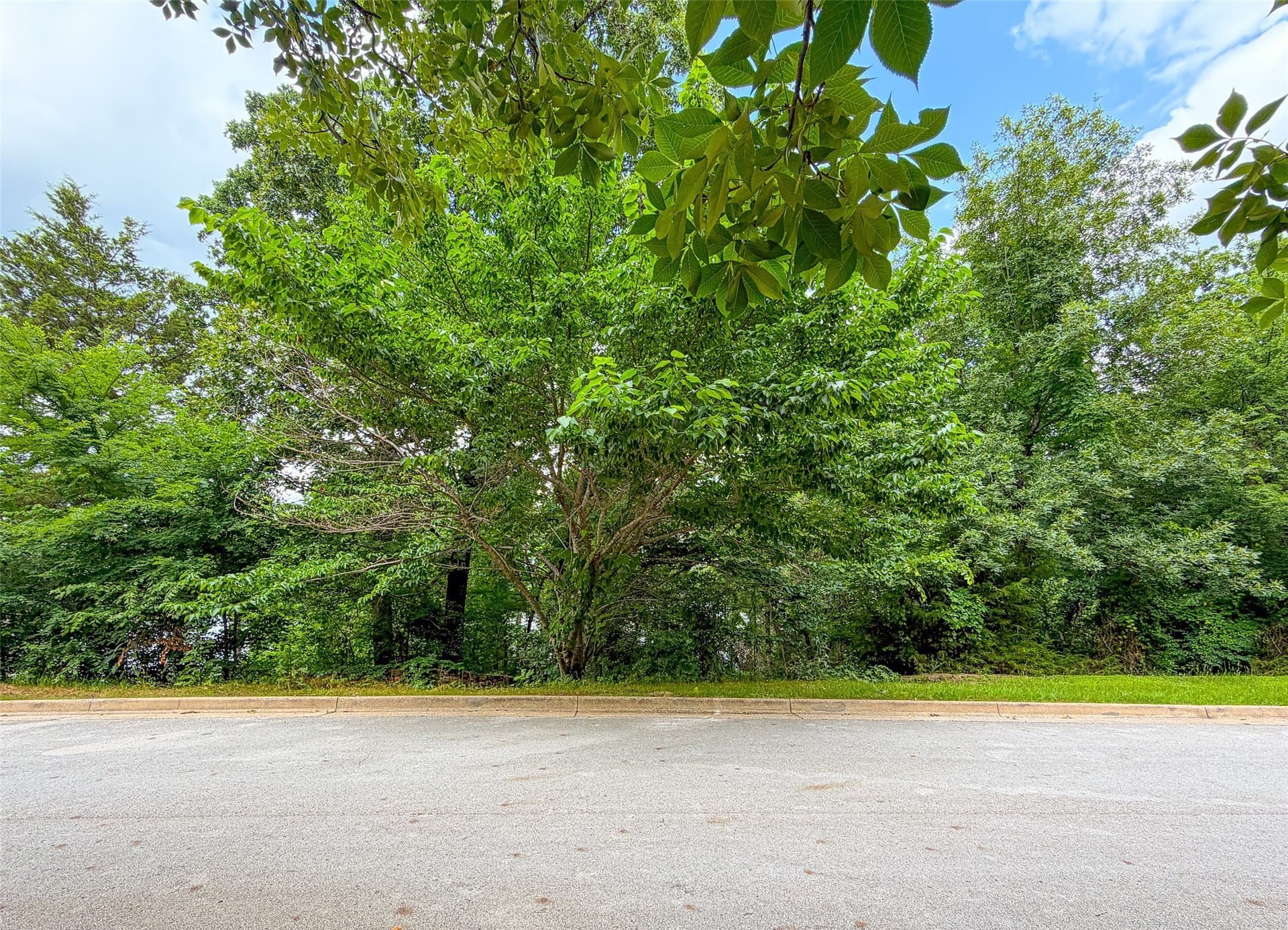 0.99 acres in Smith County gallery image 3