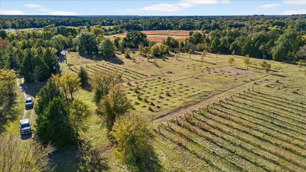 16.12 acres in Van Zandt County - photo 29