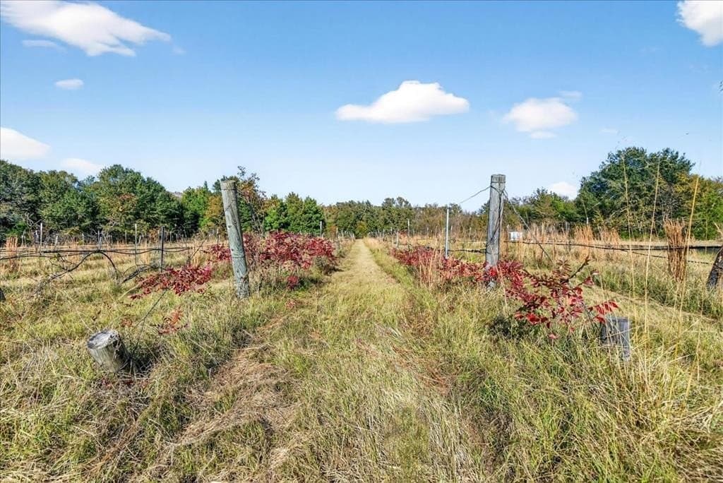 16.12 acres in Van Zandt County - photo 21