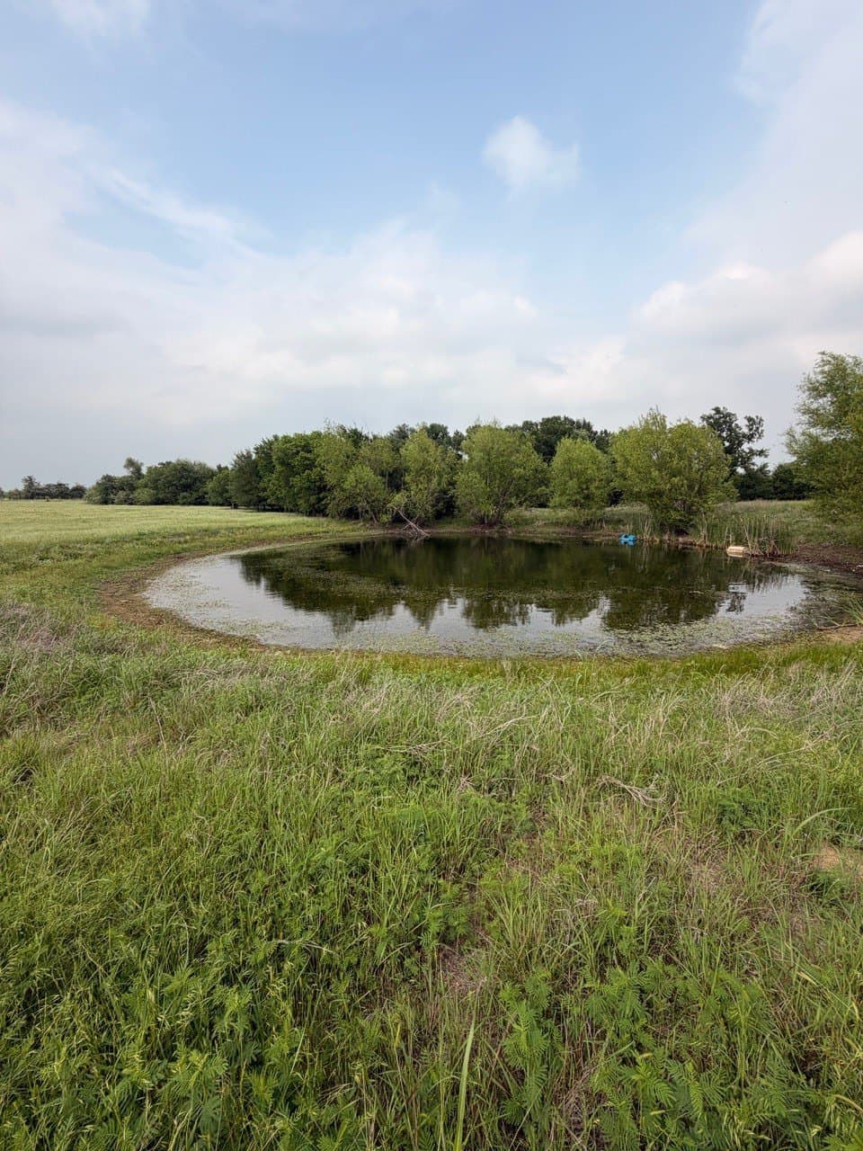 16.32 acres in Hill County - photo 3