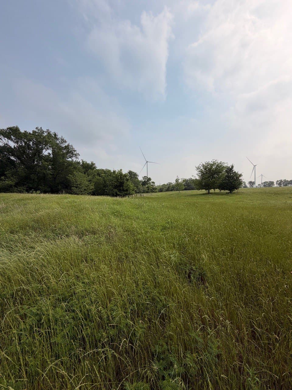 16.32 acres in Hill County - photo 6