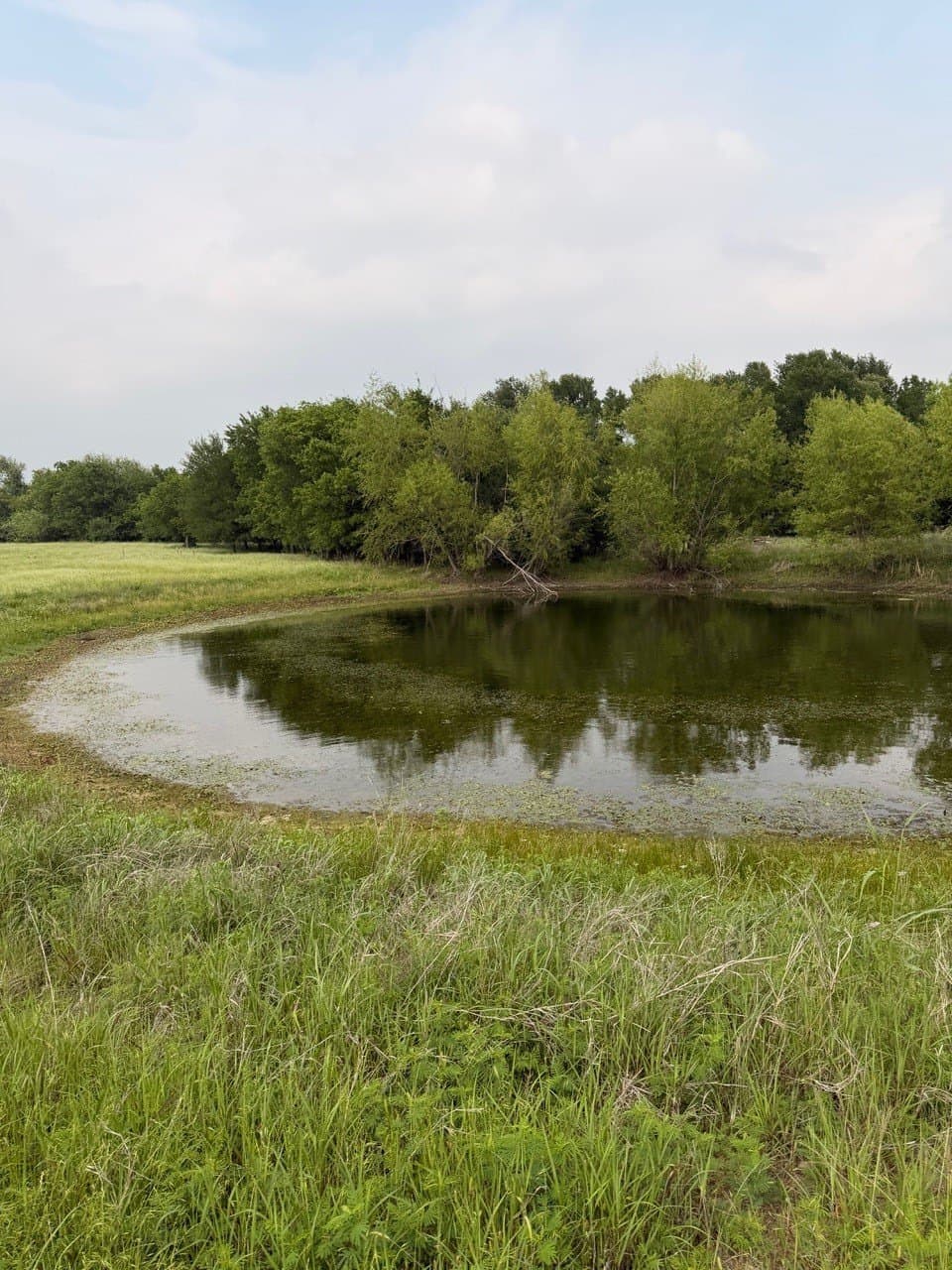 16.32 acres in Hill County - photo 2