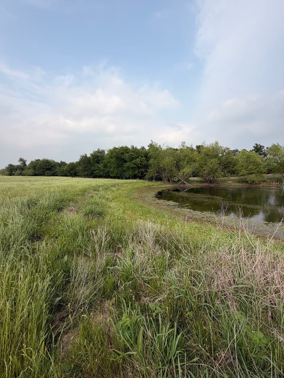 16.32 acres in Hill County - photo 4