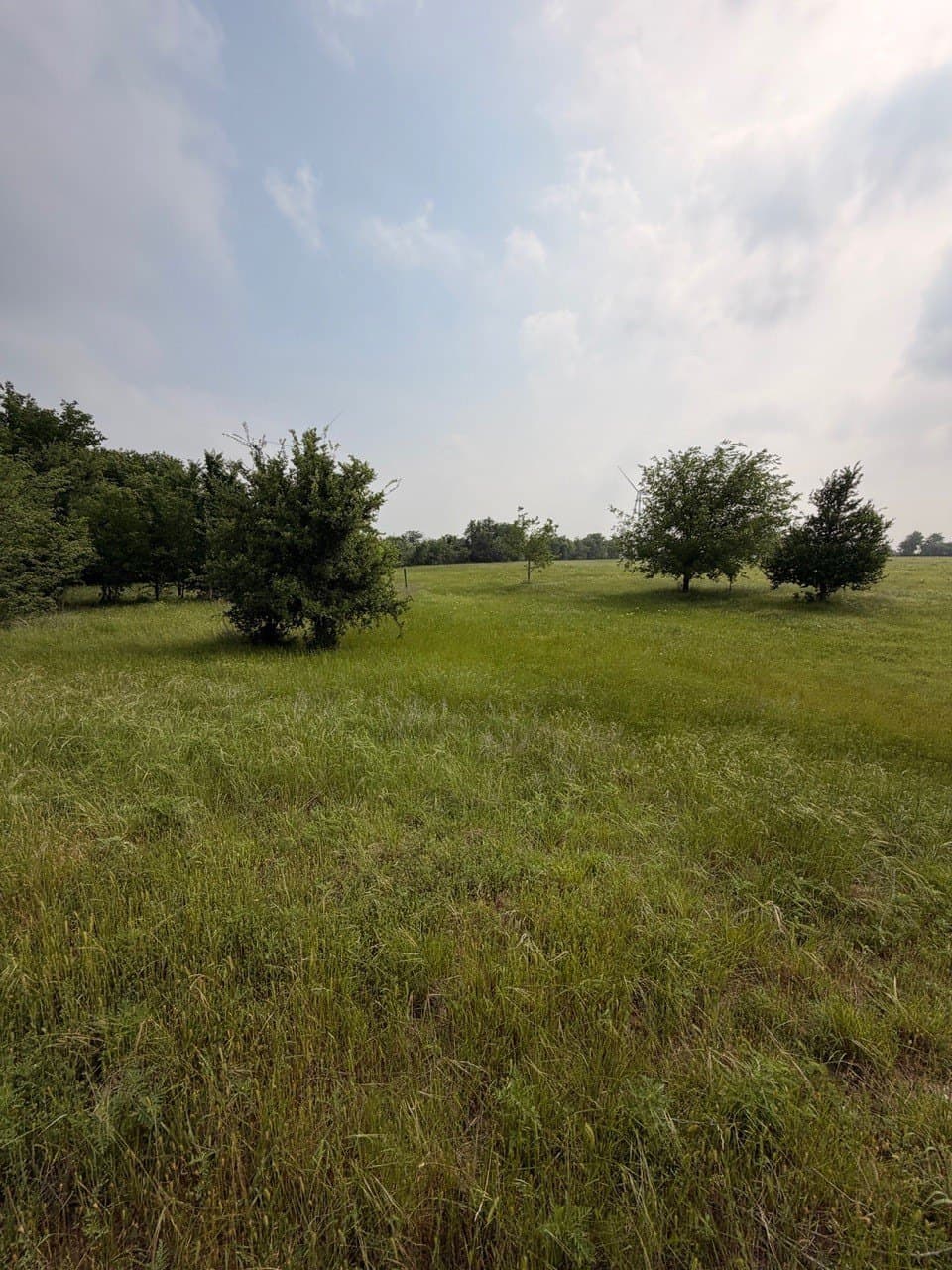 16.32 acres in Hill County - photo 7