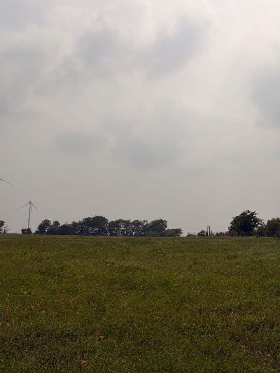16.32 acres in Hill County - photo 9