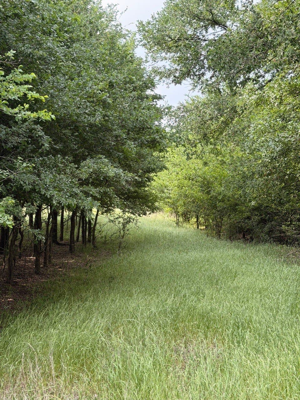 16.32 acres in Hill County - photo 12