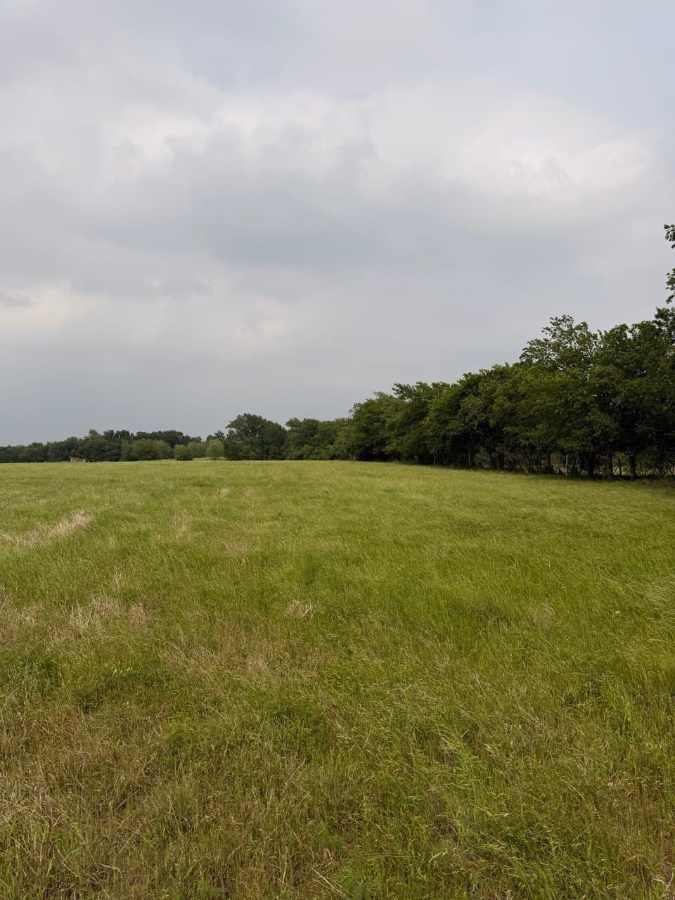 16.32 acres in Hill County - photo 8