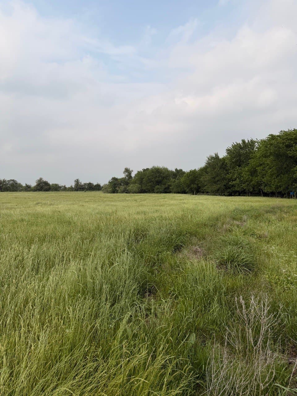 16.32 acres in Hill County - photo 5