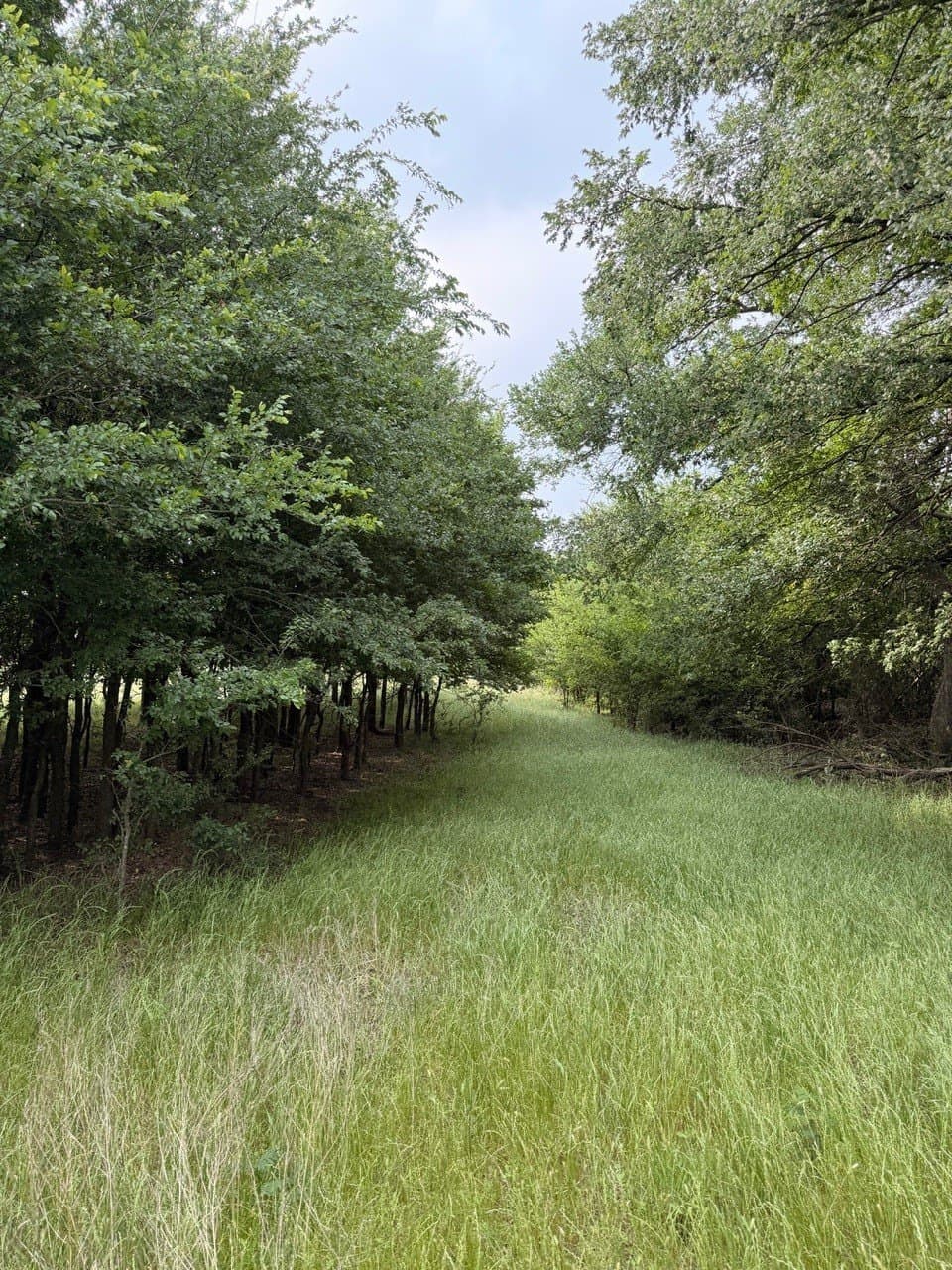 16.32 acres in Hill County - photo 13