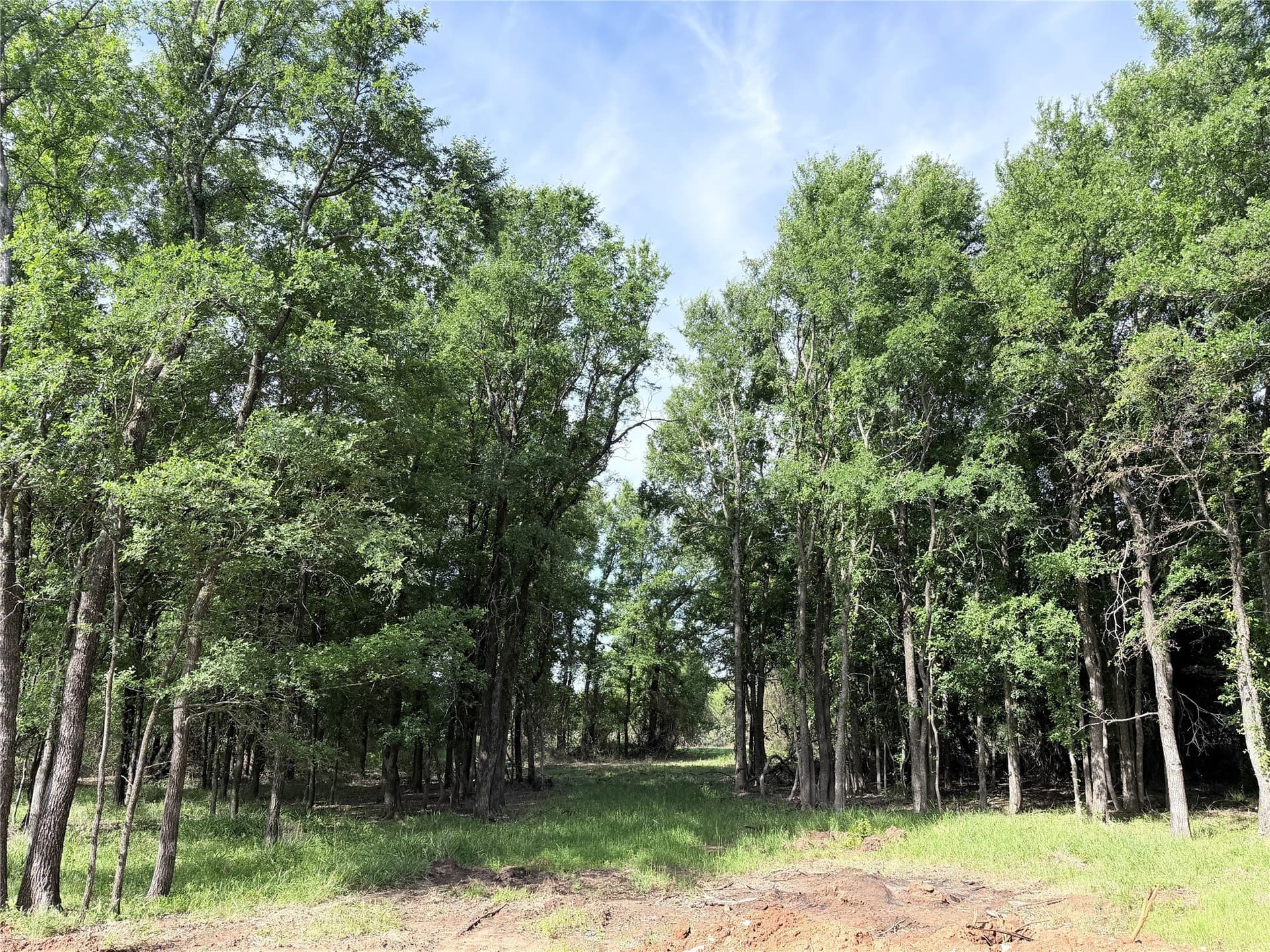 5 acres in Hill County