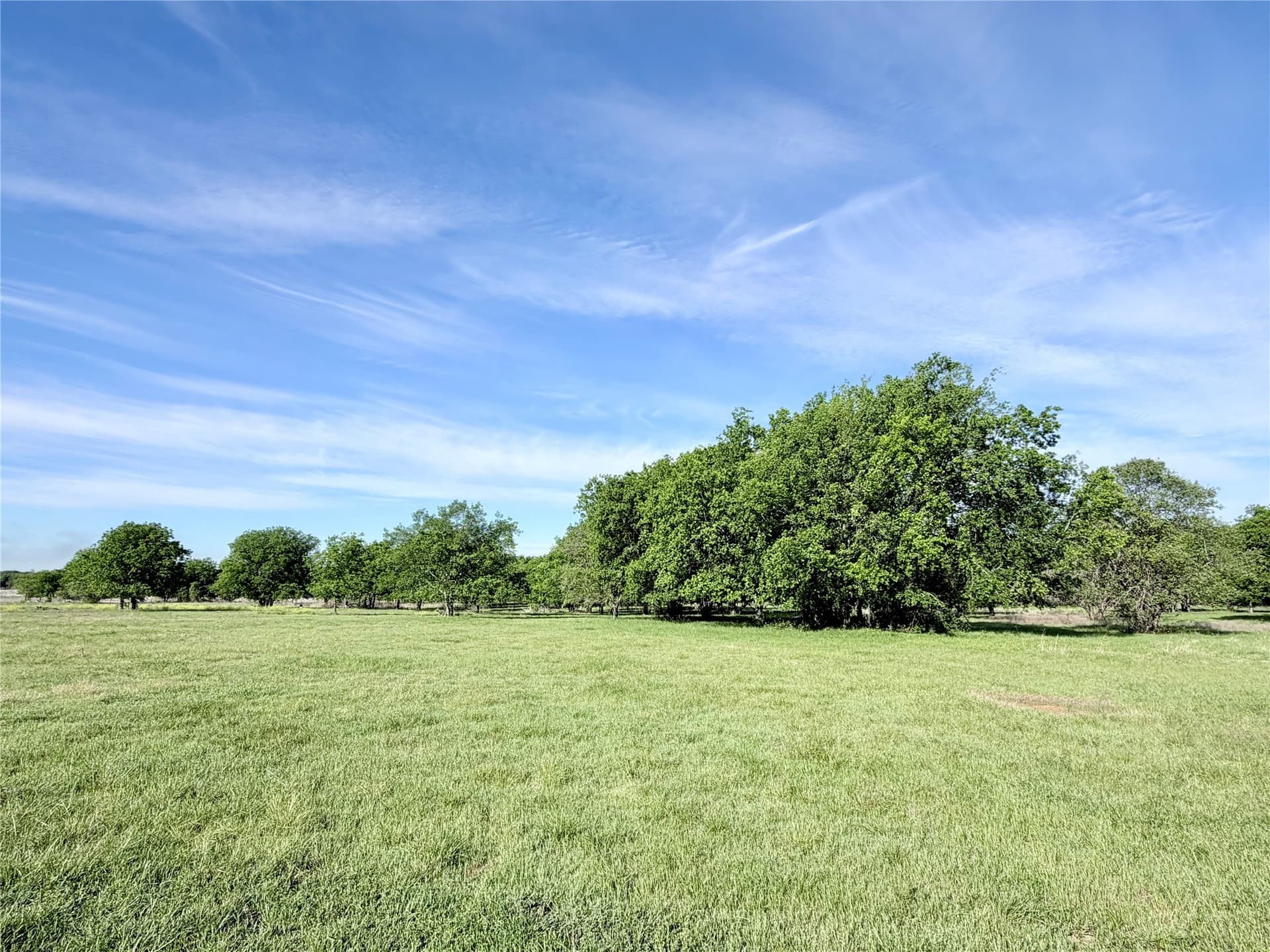 5 acres in Hill County gallery image 2