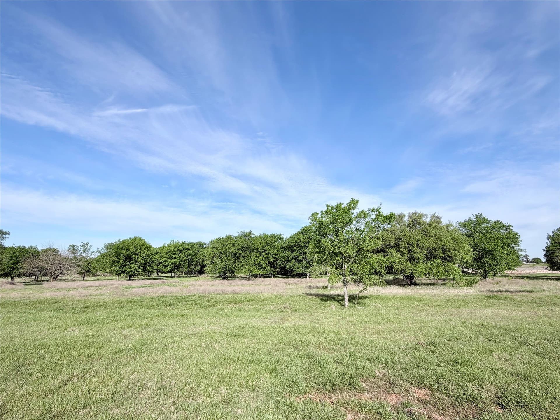 5 acres in Hill County gallery image 3