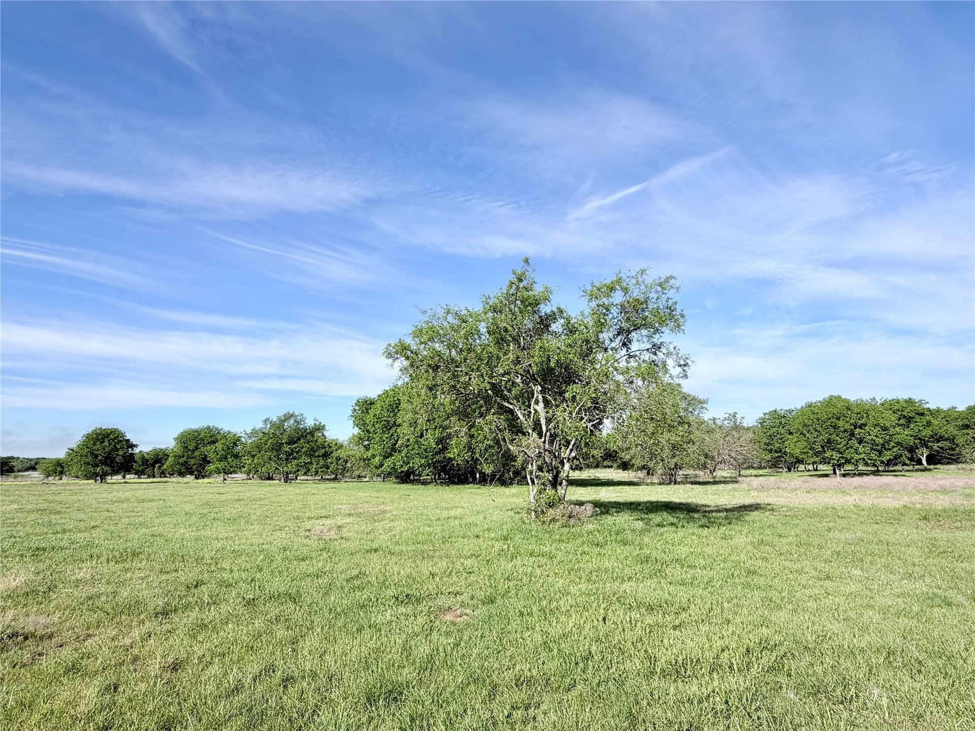 5 acres in Hill County gallery image 4