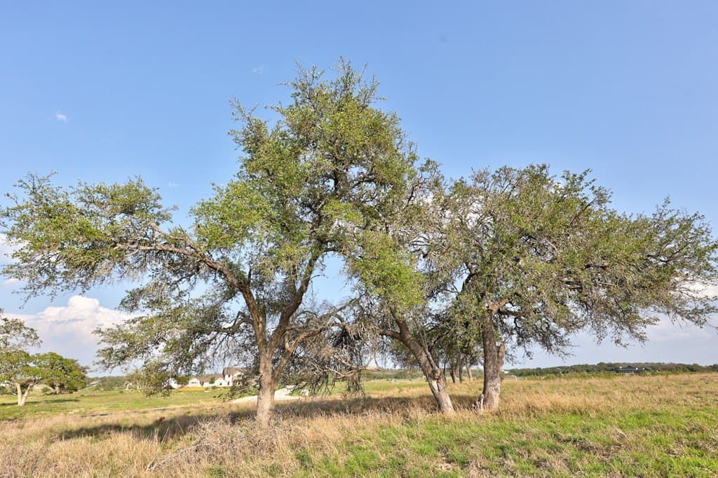 5.01 acres in Kerr County - photo 8