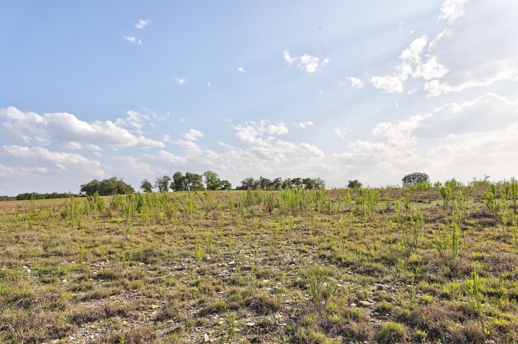 5.01 acres in Kerr County - photo 7