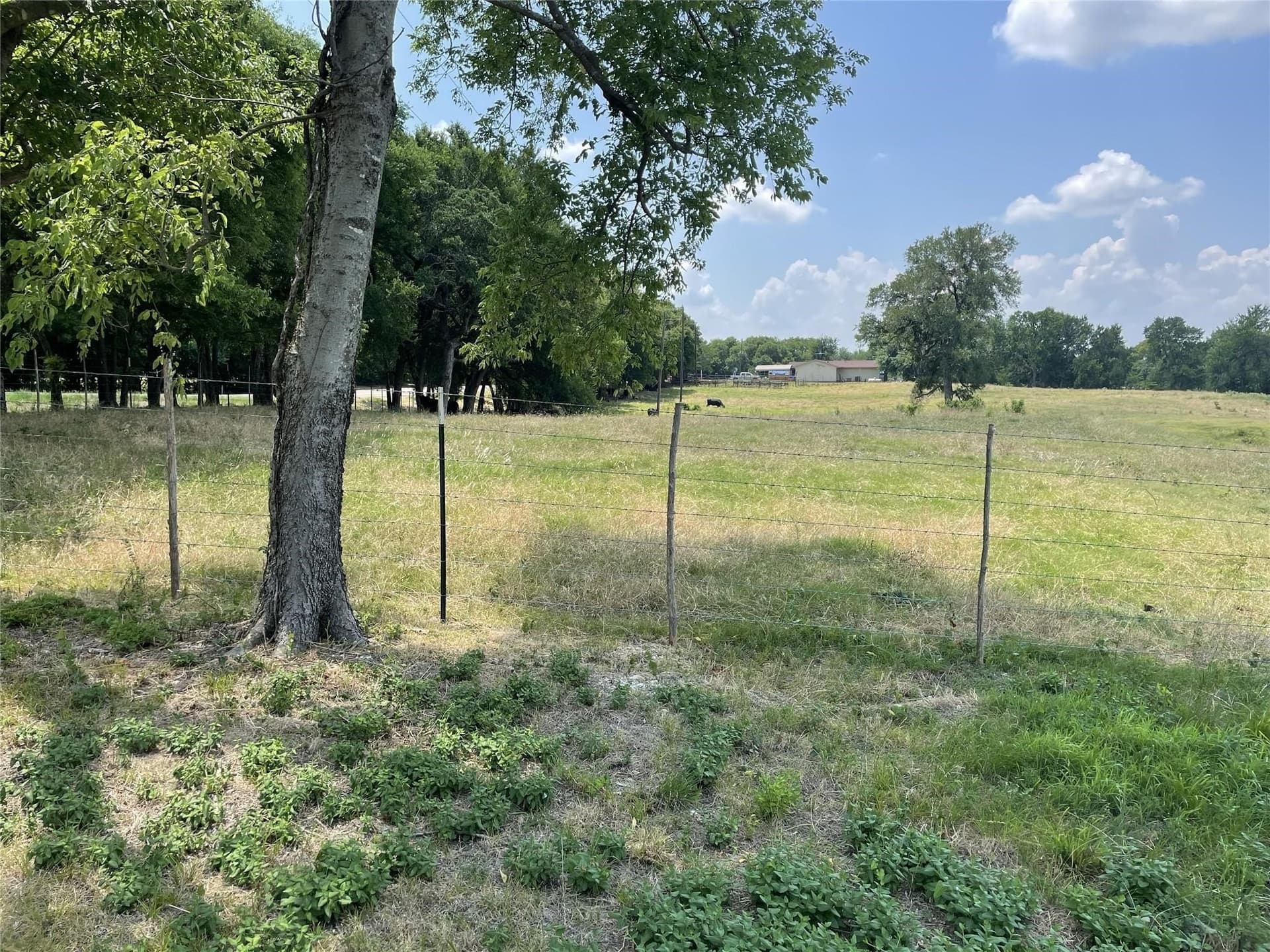 124.27 acres in Fannin County - photo 3