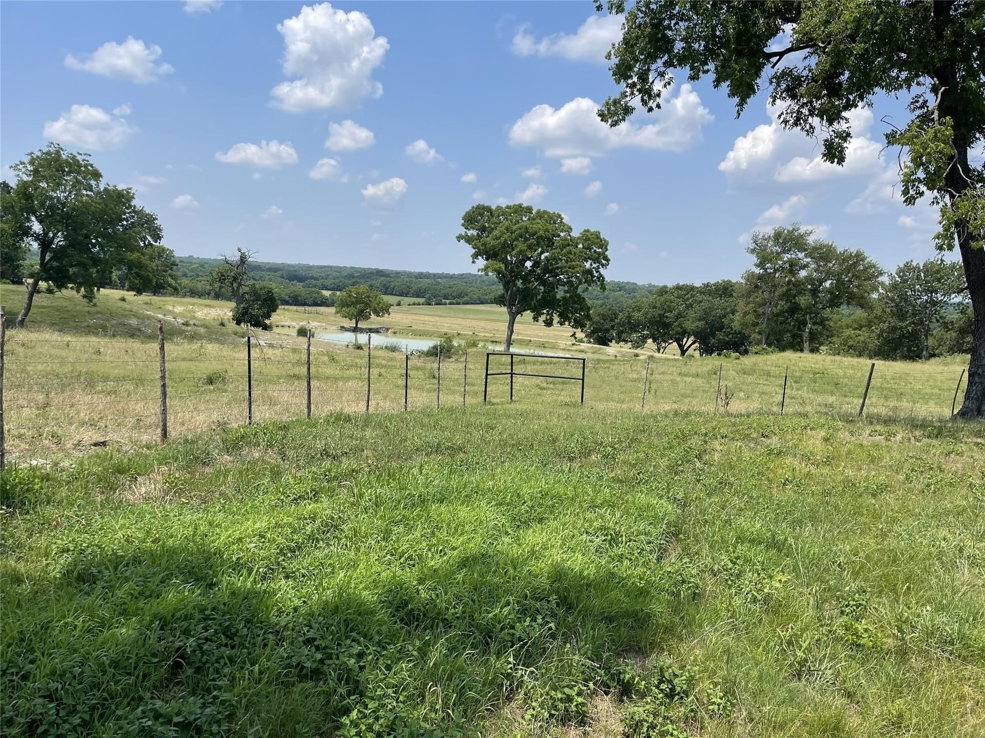 124.27 acres in Fannin County - photo 2