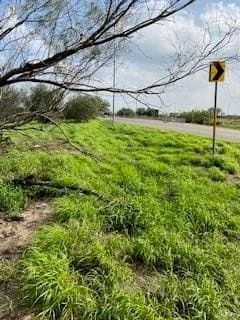 8.07 acres in Hidalgo County gallery image 3