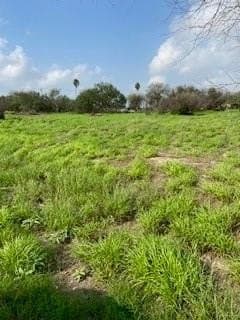 8.07 acres in Hidalgo County