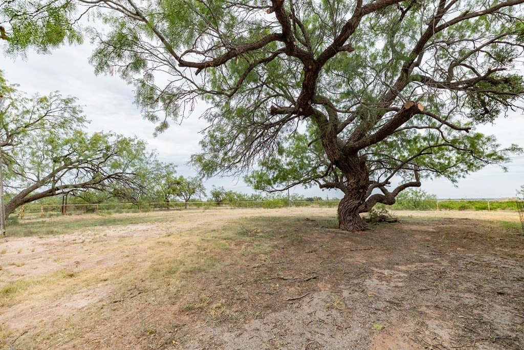 19 acres in Scurry County - photo 20