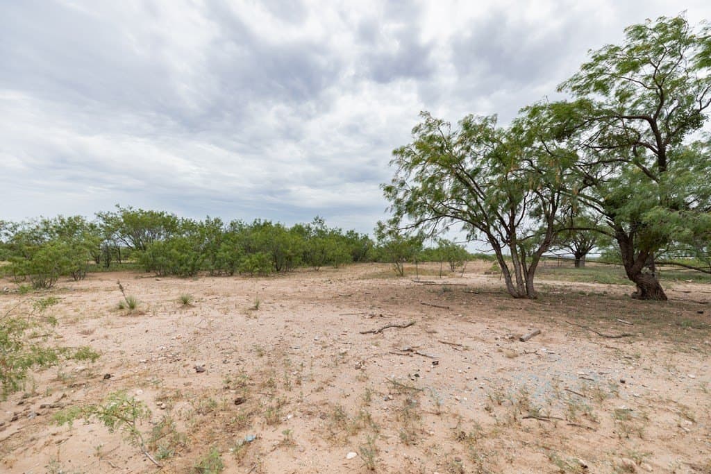 19 acres in Scurry County - photo 23