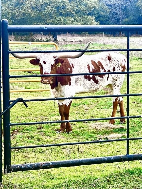 15 acres in McLennan County gallery image 2