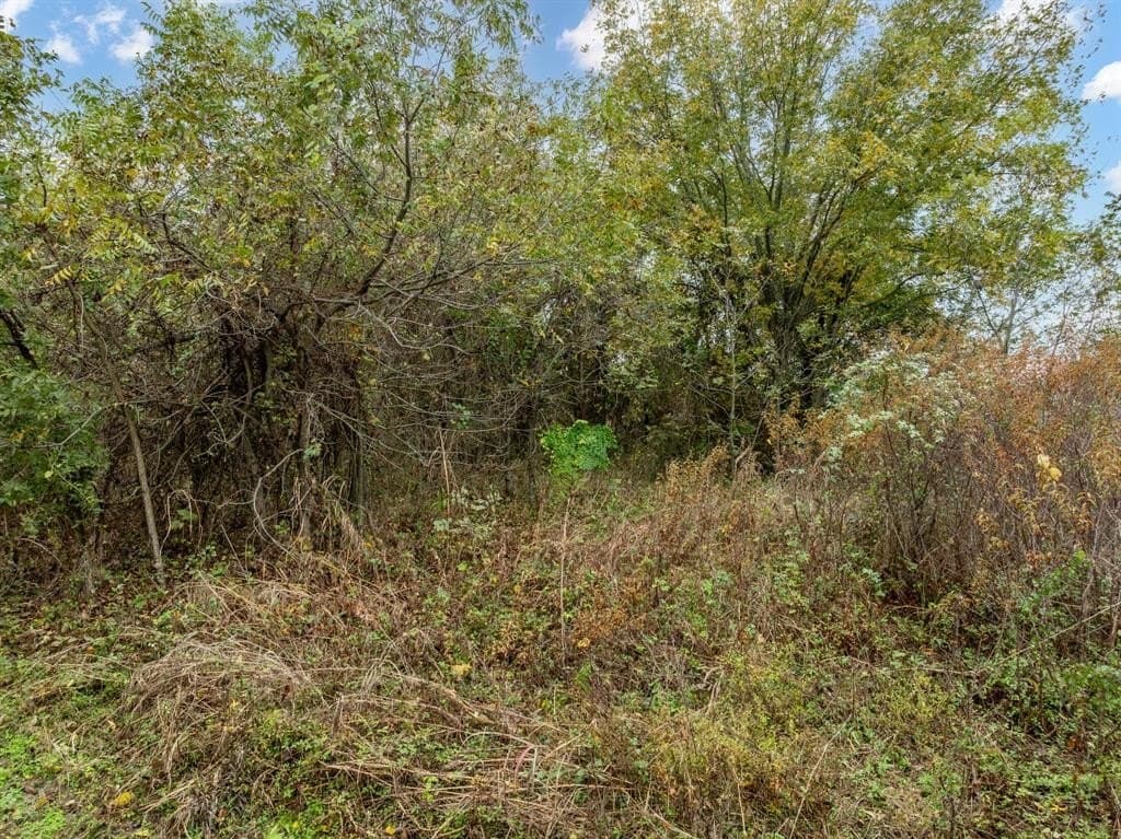 0.29 acres in Hill County gallery image 4