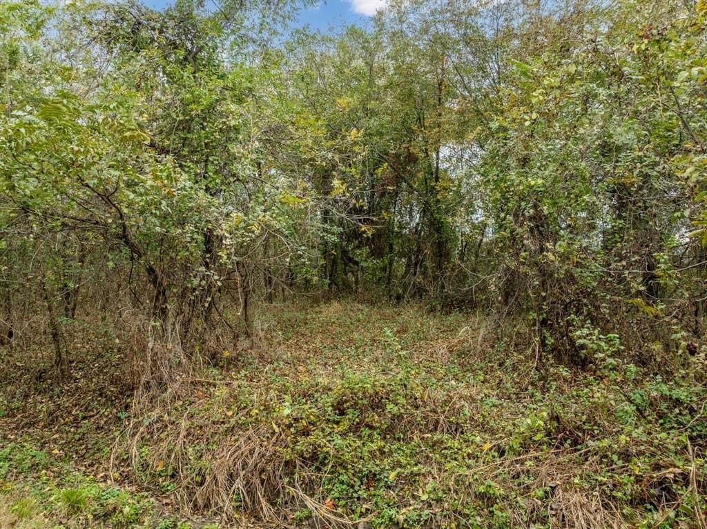 0.29 acres in Hill County featured view