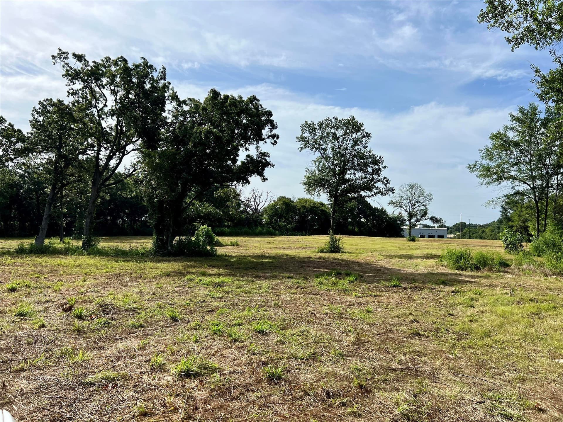 8.82 acres in Henderson County gallery image 3