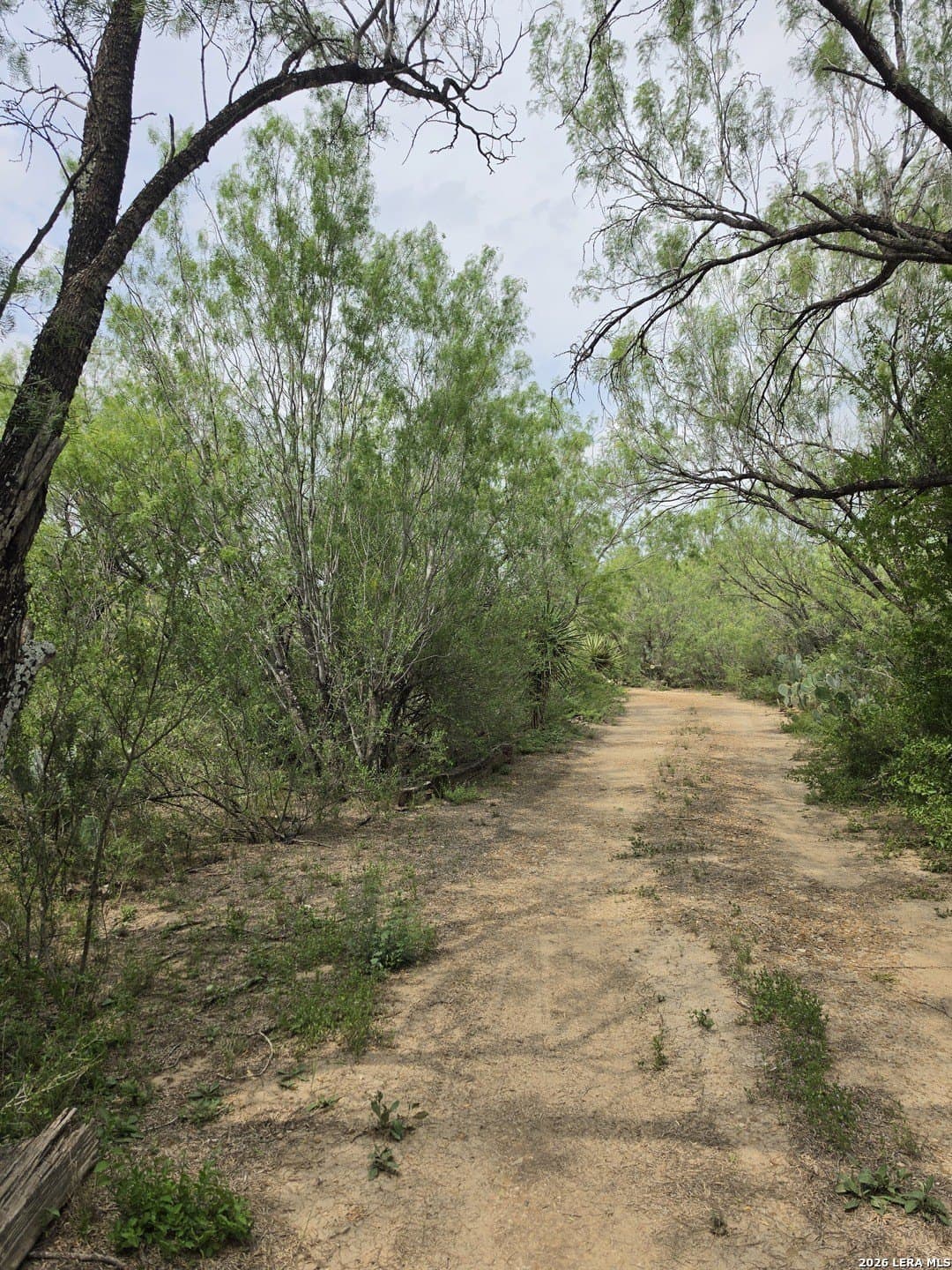 10.28 acres in La Salle County