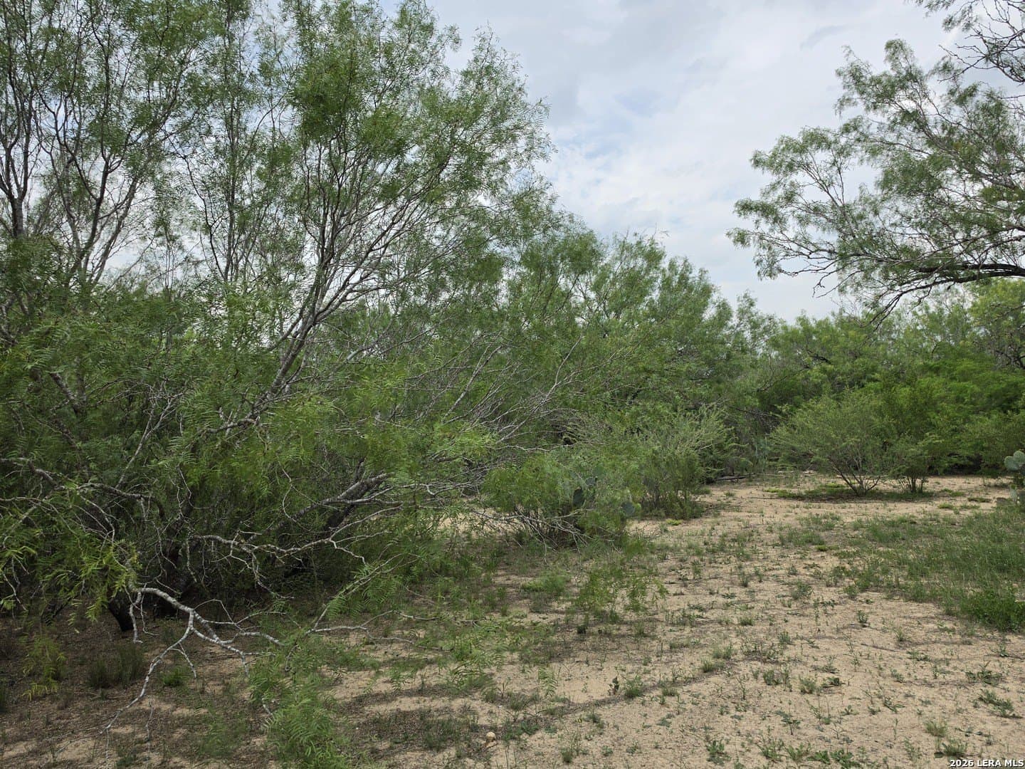 10.28 acres in La Salle County - photo 9