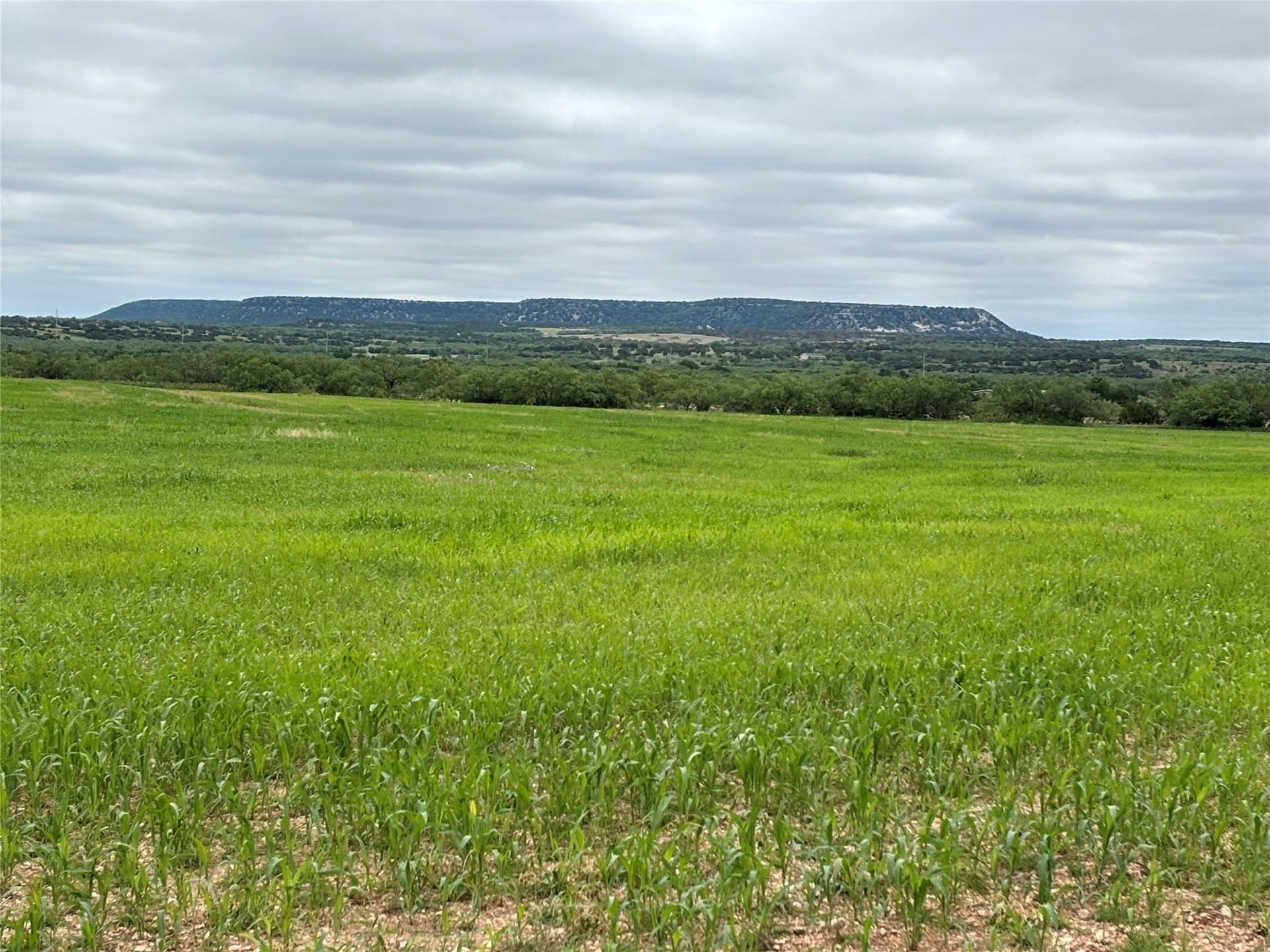 63.83 acres in Runnels County gallery image 2