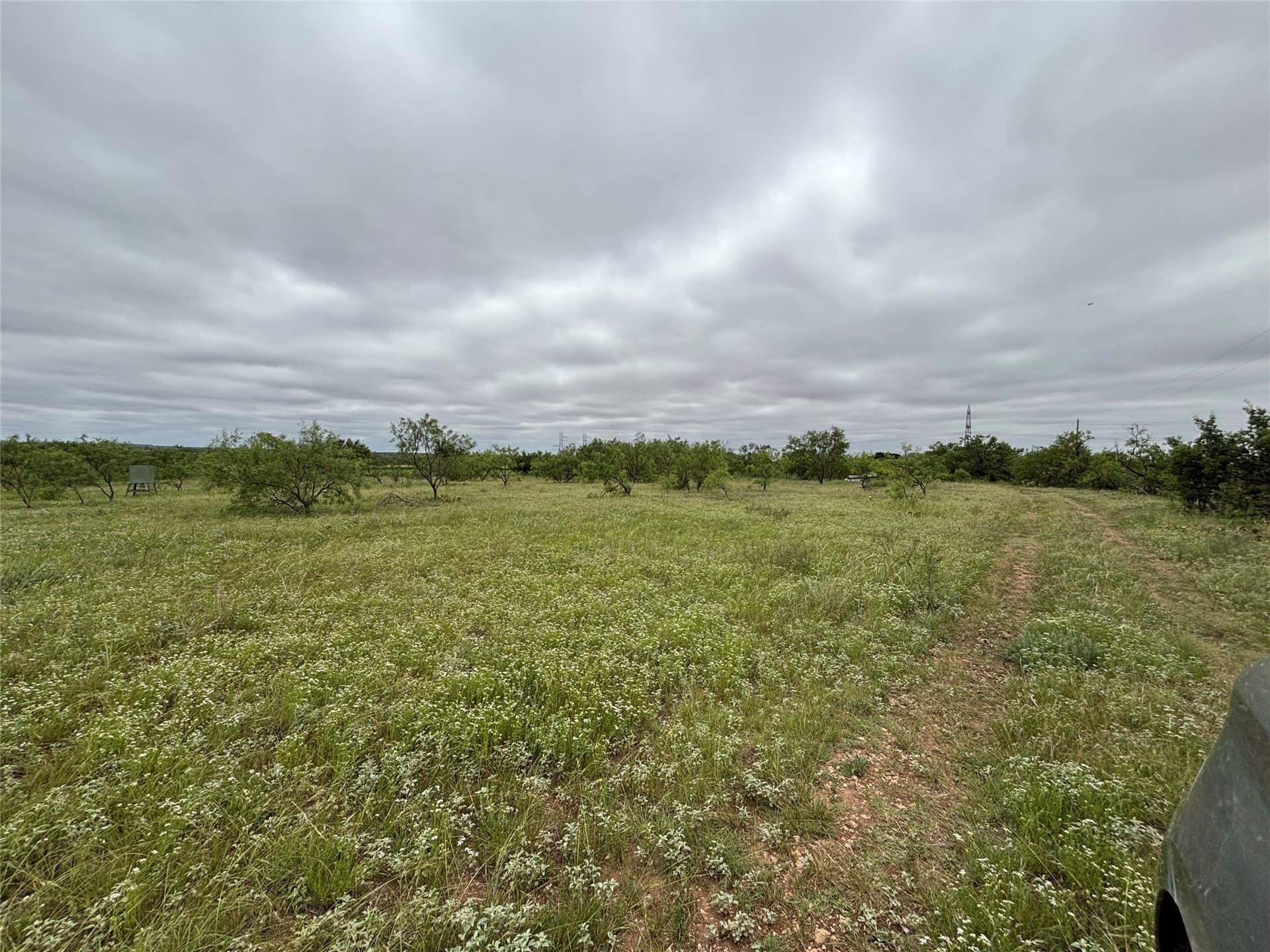 63.83 acres in Runnels County - photo 6