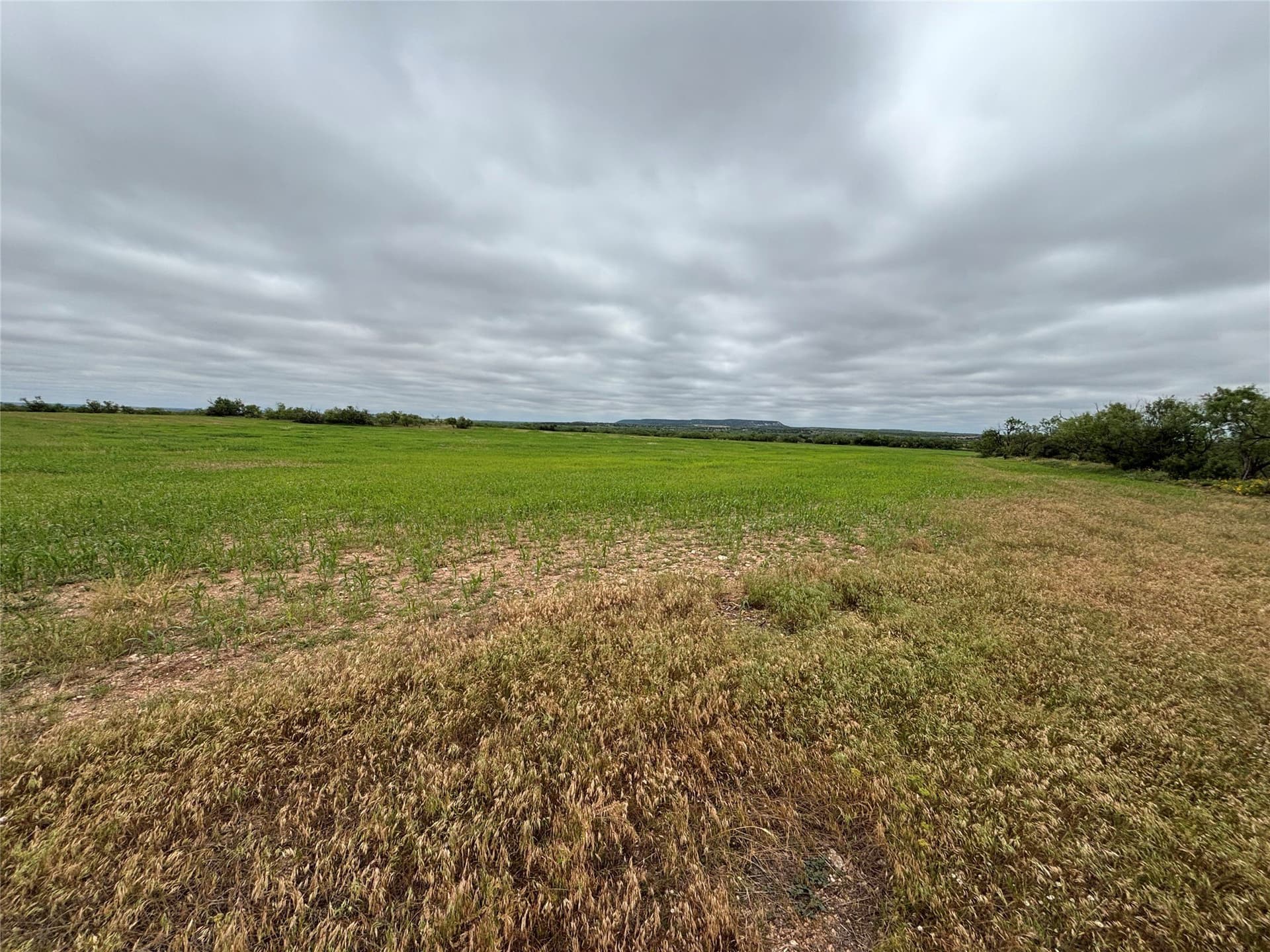 63.83 acres in Runnels County - photo 8