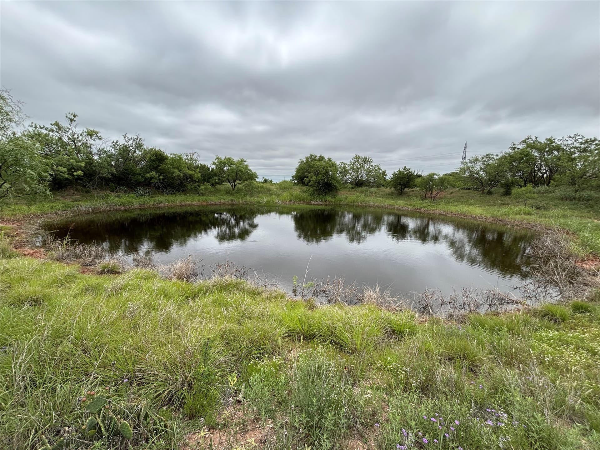63.83 acres in Runnels County