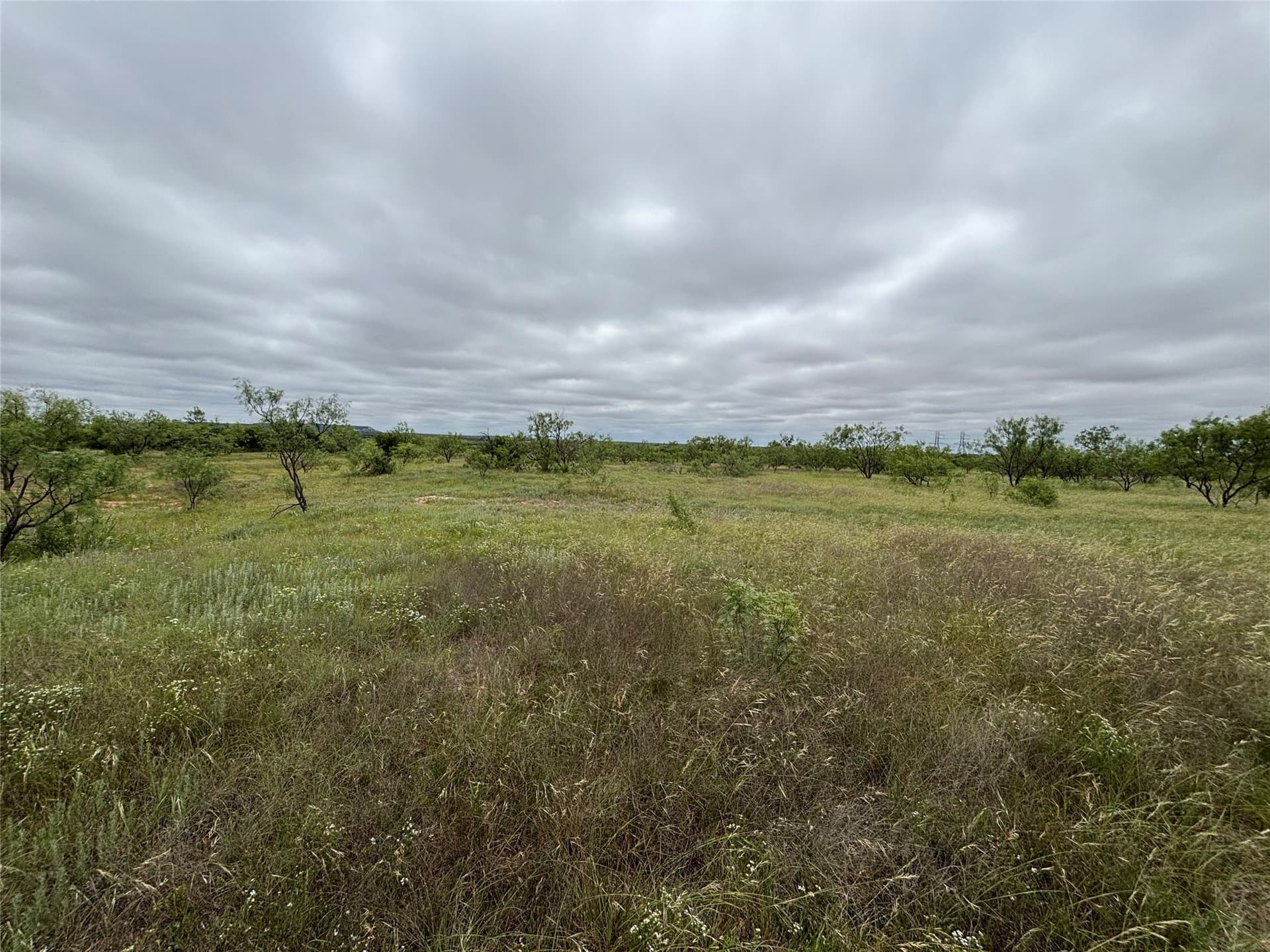 63.83 acres in Runnels County - photo 7