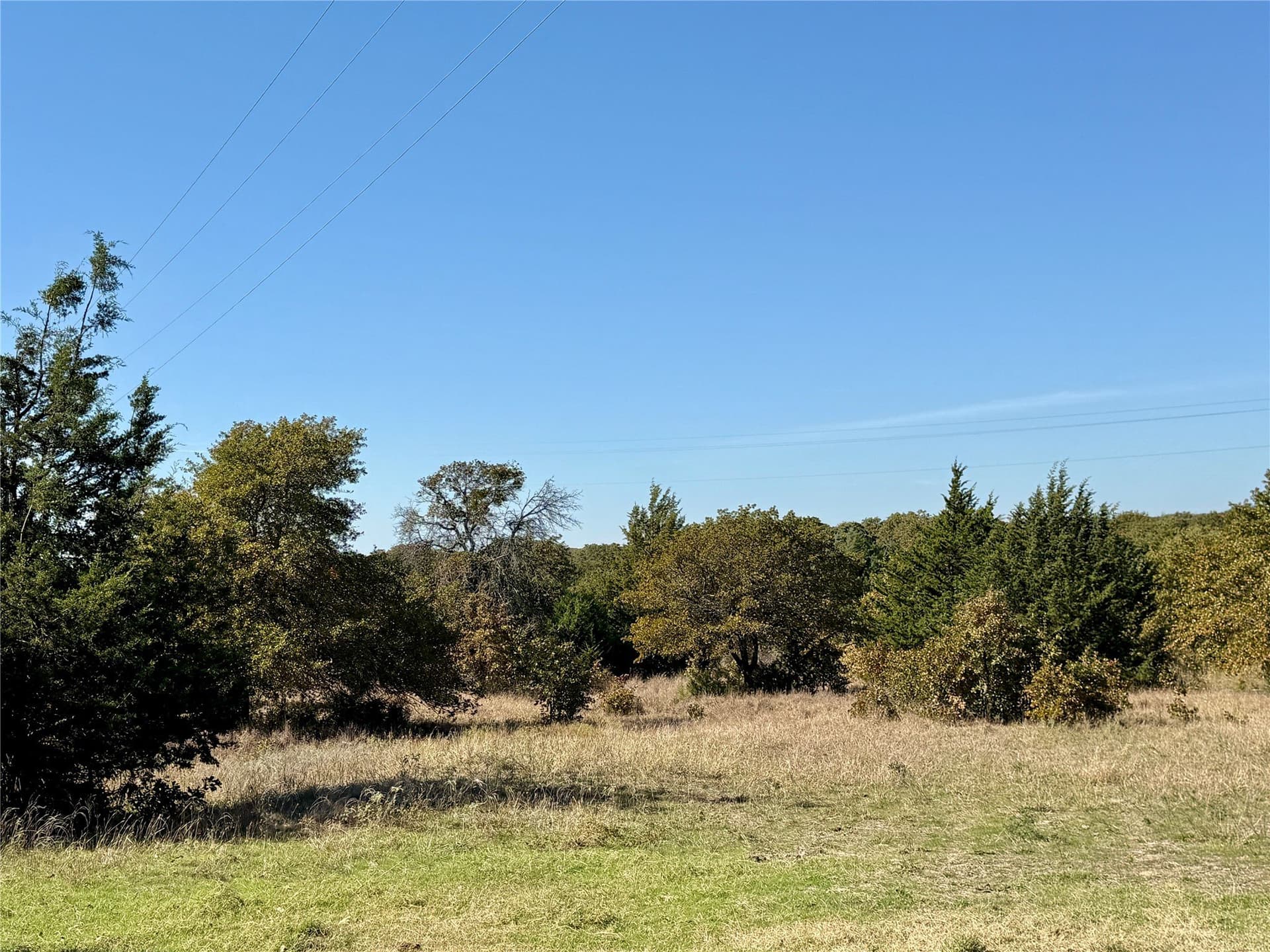 76.52 acres in Montague County - photo 14