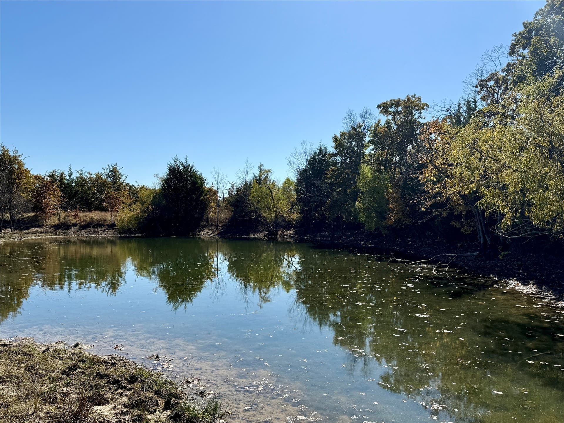 76.52 acres in Montague County - photo 16