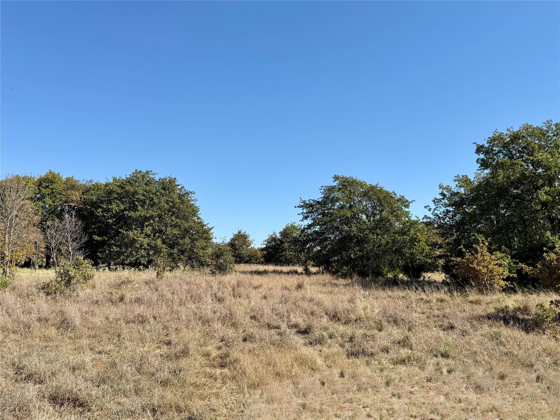 76.52 acres in Montague County - photo 9