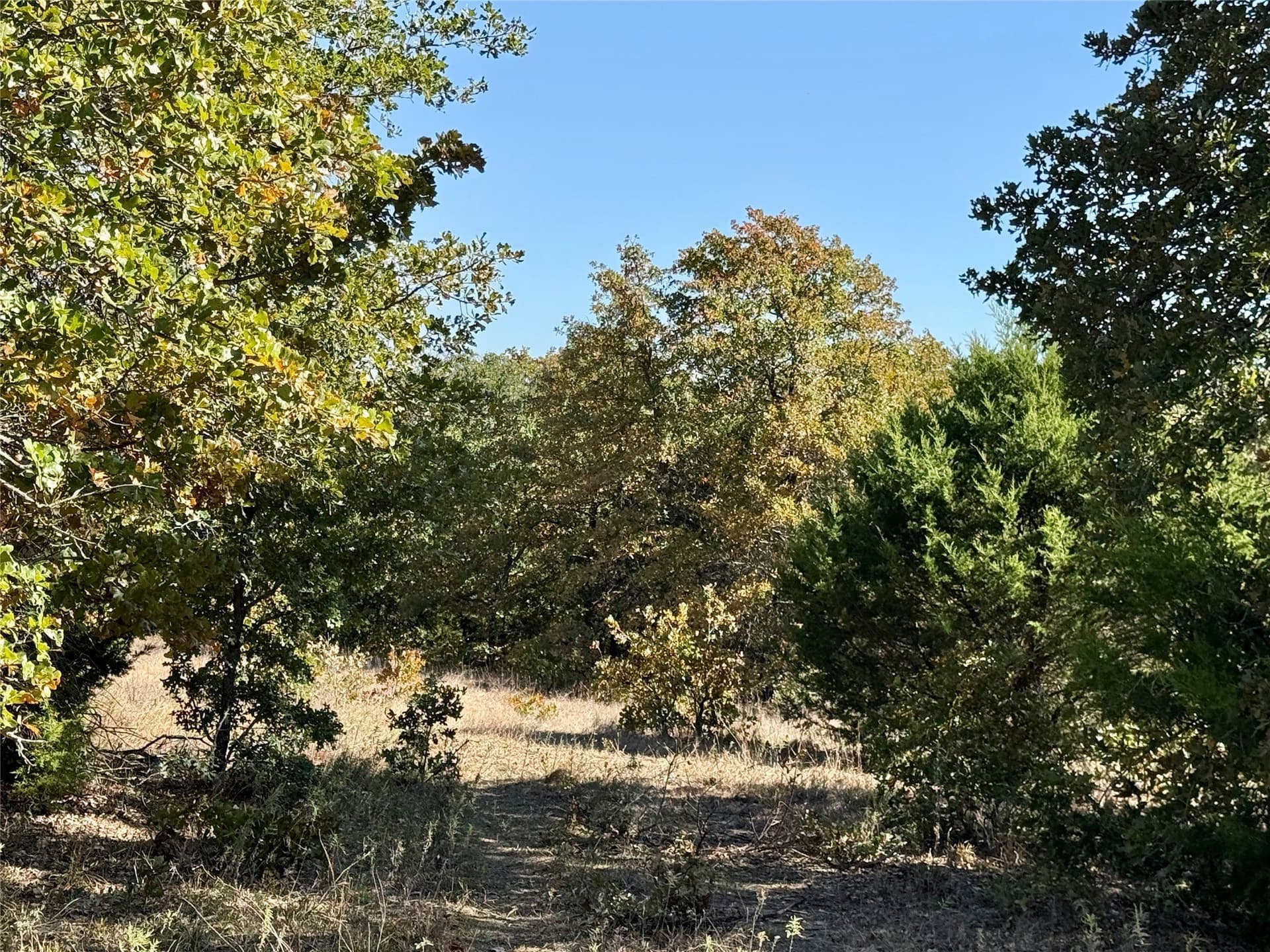 76.52 acres in Montague County - photo 11